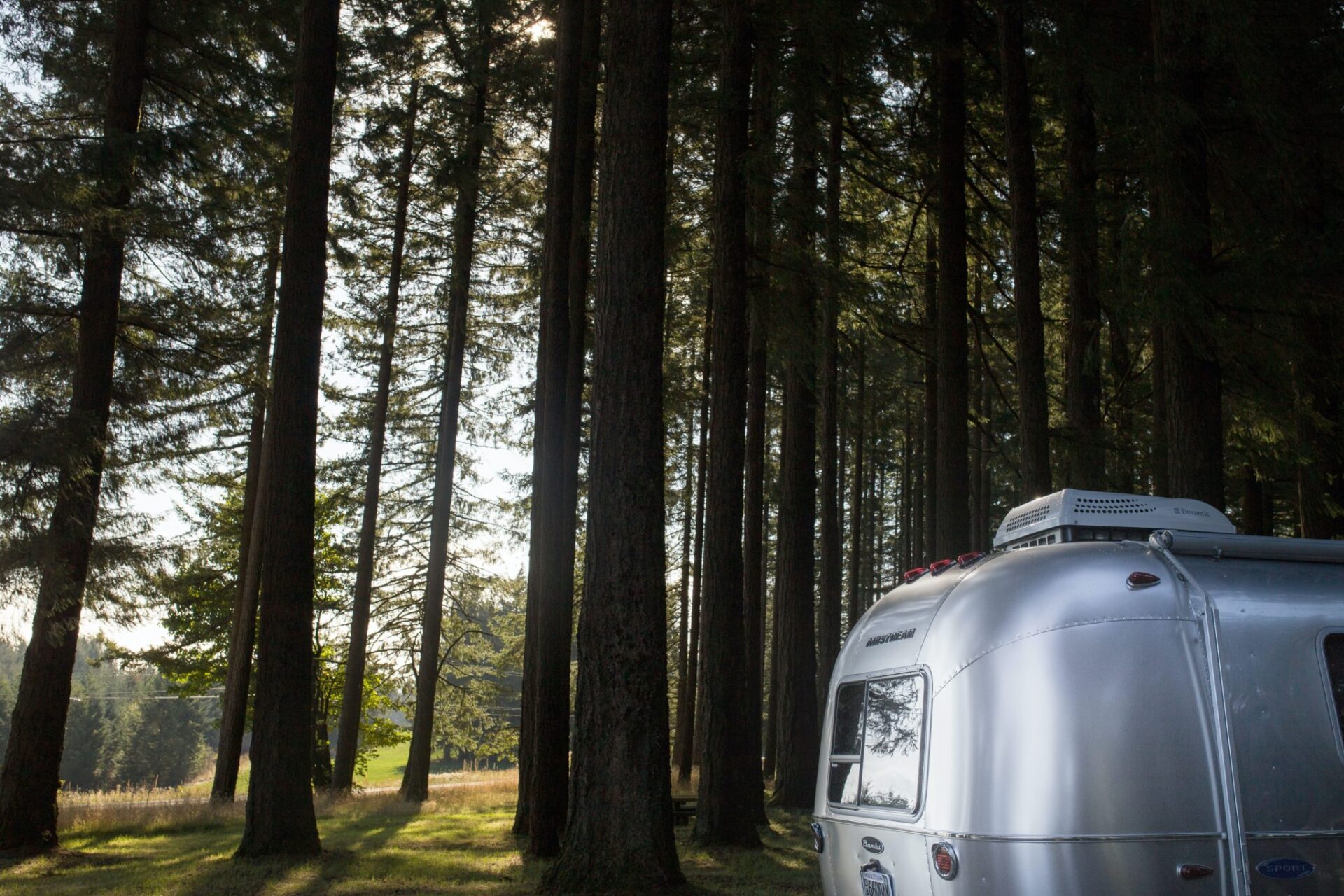 Silver camper trailer parked in a forest of tall evergreen trees